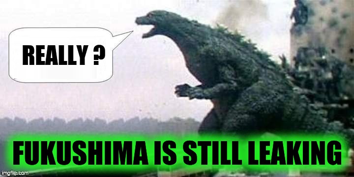 REALLY ? FUKUSHIMA IS STILL LEAKING | image tagged in godzilla,fukushima,disaster,radioactive,poison,catastrophe | made w/ Imgflip meme maker