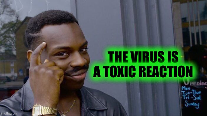 Research. | THE VIRUS IS A TOXIC REACTION | image tagged in roll safe think about it,toxic,biology,science,school,fact | made w/ Imgflip meme maker