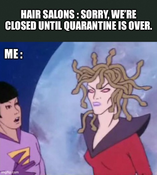 After The End | HAIR SALONS : SORRY, WE’RE CLOSED UNTIL QUARANTINE IS OVER. ME : | image tagged in covid-19,coronavirus,quarantine,hair salon,stay at home,2020 | made w/ Imgflip meme maker