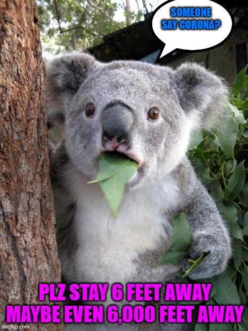 Surprised Koala Meme | SOMEONE SAY CORONA? PLZ STAY 6 FEET AWAY MAYBE EVEN 6,000 FEET AWAY | image tagged in memes,surprised koala | made w/ Imgflip meme maker