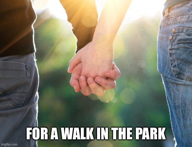 Holding hands again | FOR A WALK IN THE PARK | image tagged in holding hands again | made w/ Imgflip meme maker