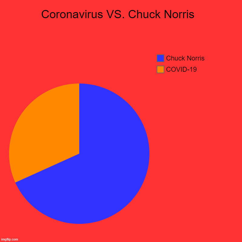 Who will win? | Coronavirus VS. Chuck Norris  | COVID-19, Chuck Norris | image tagged in charts,pie charts | made w/ Imgflip chart maker