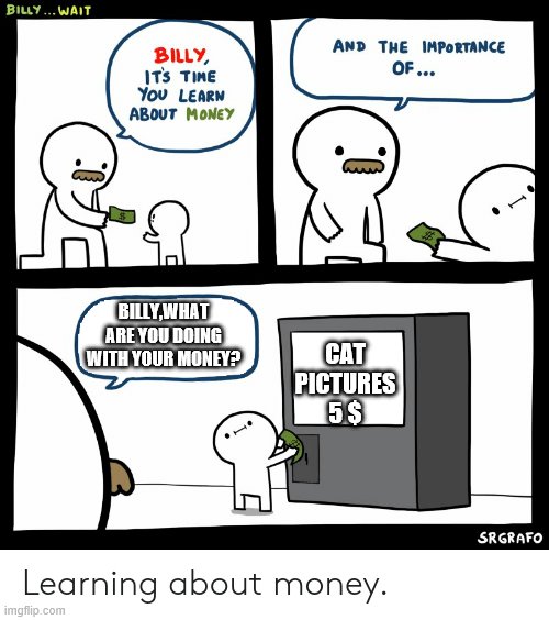 Billy Learning About Money | CAT PICTURES 5 $; BILLY,WHAT ARE YOU DOING WITH YOUR MONEY? | image tagged in billy learning about money | made w/ Imgflip meme maker
