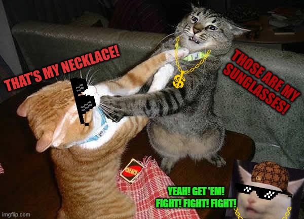 Two cats fighting for real | THAT'S MY NECKLACE! THOSE ARE MY
SUNGLASSES! YEAH! GET 'EM!
FIGHT! FIGHT! FIGHT! | image tagged in two cats fighting for real,kitties,fight club,boxing,so i guess you can say things are getting pretty serious,claws | made w/ Imgflip meme maker