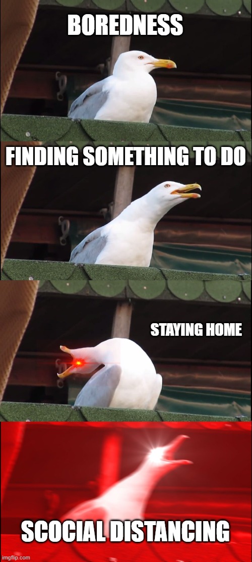 Inhaling Seagull | BOREDNESS; FINDING SOMETHING TO DO; STAYING HOME; SCOCIAL DISTANCING | image tagged in memes,inhaling seagull | made w/ Imgflip meme maker