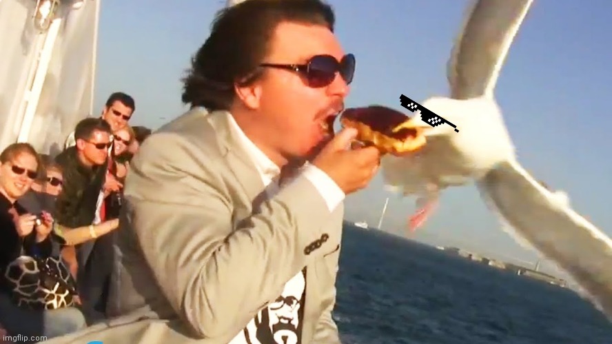 seagul steals food | image tagged in seagul steals food | made w/ Imgflip meme maker