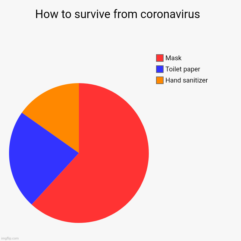 How to survive from coronavirus  | Hand sanitizer , Toilet paper , Mask | image tagged in charts,pie charts | made w/ Imgflip chart maker