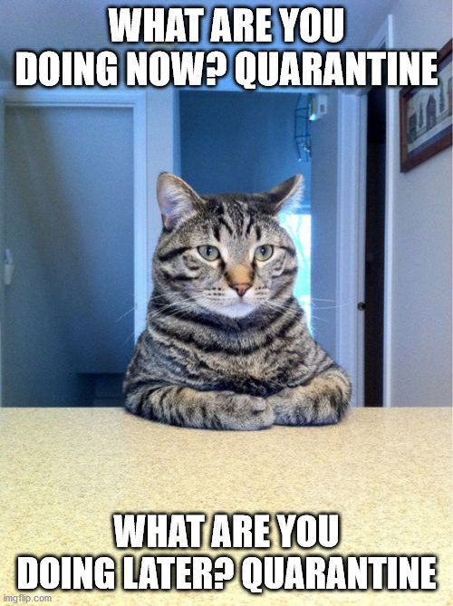 Take A Seat Cat | WHAT ARE YOU DOING NOW? QUARANTINE; WHAT ARE YOU DOING LATER? QUARANTINE | image tagged in memes,take a seat cat | made w/ Imgflip meme maker