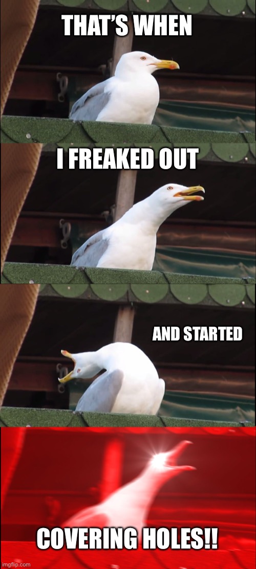 Inhaling Seagull | THAT’S WHEN; I FREAKED OUT; AND STARTED; COVERING HOLES!! | image tagged in memes,inhaling seagull | made w/ Imgflip meme maker