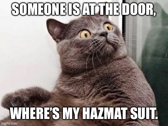 Surprised cat | SOMEONE IS AT THE DOOR, WHERE’S MY HAZMAT SUIT. | image tagged in surprised cat | made w/ Imgflip meme maker