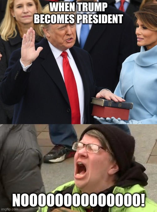 WHEN TRUMP BECOMES PRESIDENT; NOOOOOOOOOOOOOO! | made w/ Imgflip meme maker