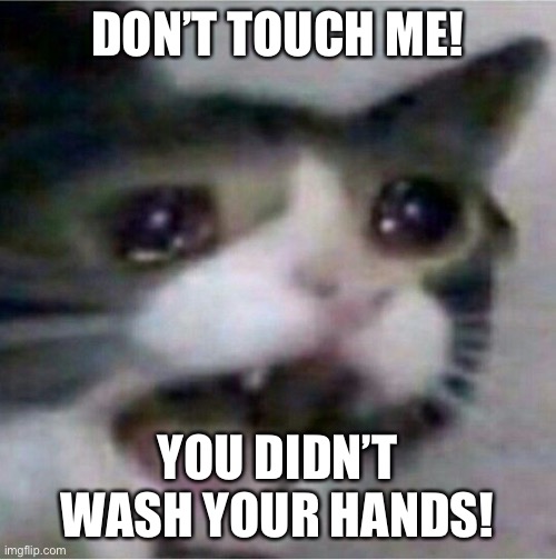 crying cat | DON’T TOUCH ME! YOU DIDN’T WASH YOUR HANDS! | image tagged in crying cat | made w/ Imgflip meme maker