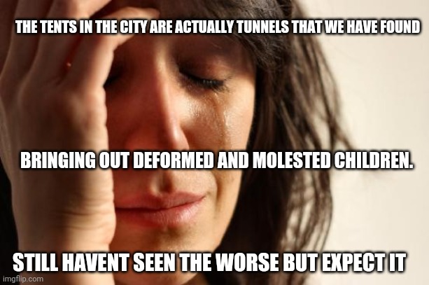 World shut down over a flu | THE TENTS IN THE CITY ARE ACTUALLY TUNNELS THAT WE HAVE FOUND; BRINGING OUT DEFORMED AND MOLESTED CHILDREN. STILL HAVENT SEEN THE WORSE BUT EXPECT IT | image tagged in memes,first world problems | made w/ Imgflip meme maker