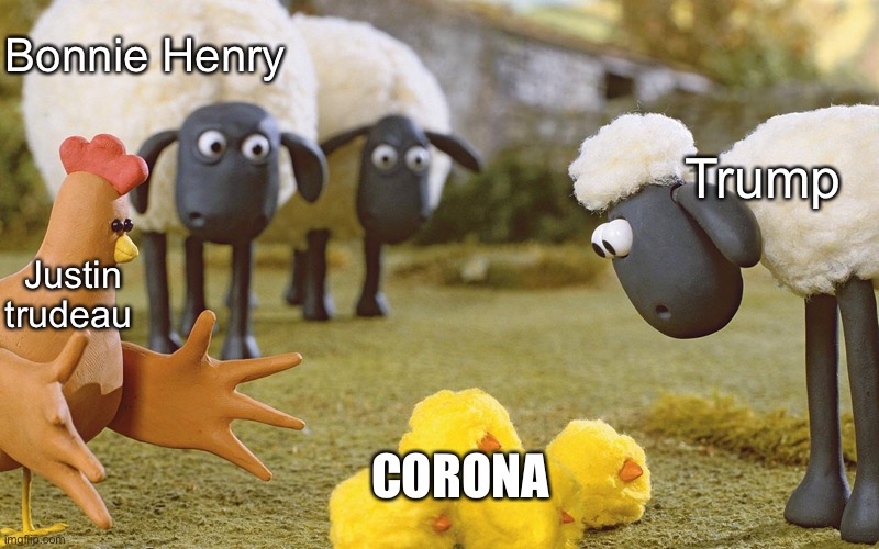 Shaun the Sheep | Bonnie Henry; Trump; Justin trudeau; CORONA | image tagged in shaun the sheep | made w/ Imgflip meme maker