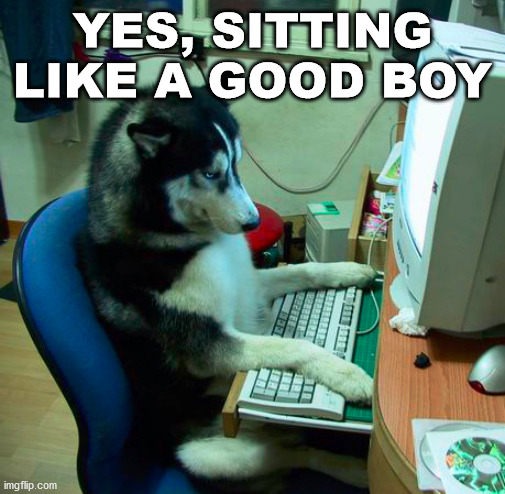 Me during the Corona Quarantine | YES, SITTING LIKE A GOOD BOY | image tagged in memes,i have no idea what i am doing | made w/ Imgflip meme maker