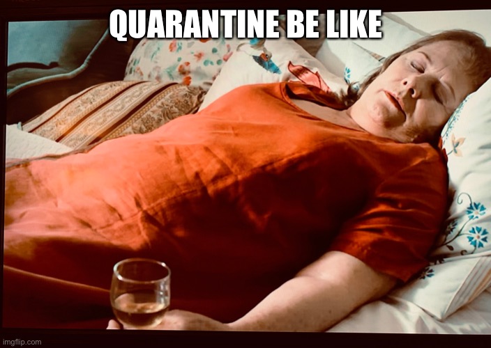 QUARANTINE BE LIKE | image tagged in quarantine | made w/ Imgflip meme maker