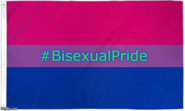 #BisexualPride | image tagged in bisexual flag | made w/ Imgflip meme maker
