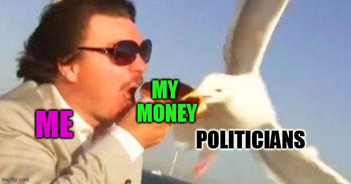 Always swooping in to take a big chunk of my check | ME MY 
MONEY POLITICIANS | image tagged in swiping seagull,politicians | made w/ Imgflip meme maker