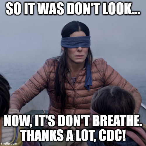 Bird Box | SO IT WAS DON'T LOOK... NOW, IT'S DON'T BREATHE.
THANKS A LOT, CDC! | image tagged in memes,bird box | made w/ Imgflip meme maker