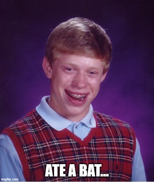 Bad Luck Brian | ATE A BAT... | image tagged in memes,bad luck brian | made w/ Imgflip meme maker