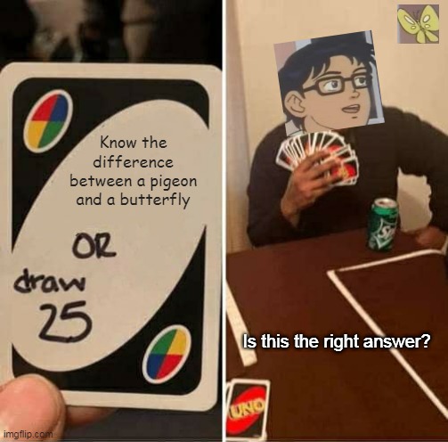 UNO Draw 25 Cards | Know the difference between a pigeon and a butterfly; Is this the right answer? | image tagged in memes,uno draw 25 cards | made w/ Imgflip meme maker
