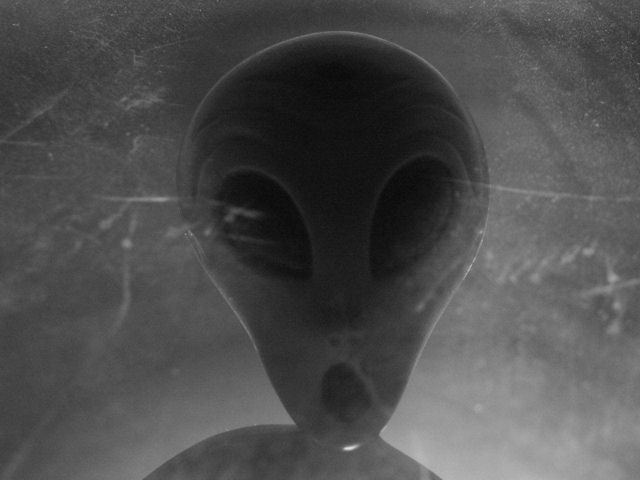 Alien Blank Template - Imgflip