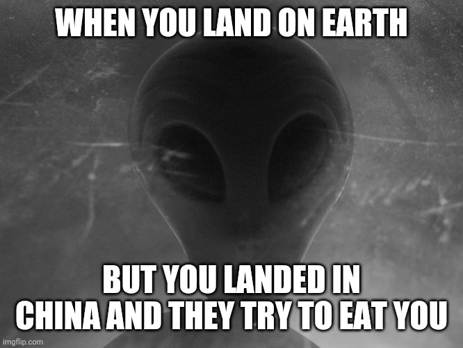 Alien | WHEN YOU LAND ON EARTH; BUT YOU LANDED IN CHINA AND THEY TRY TO EAT YOU | image tagged in alien | made w/ Imgflip meme maker