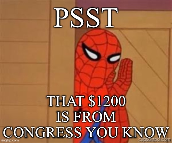 Trump didn’t issue these $1200 checks. The money was appropriated by Congress. | PSST; THAT $1200 IS FROM CONGRESS YOU KNOW | image tagged in psst spiderman,coronavirus,covid-19,congress,reality check,check | made w/ Imgflip meme maker