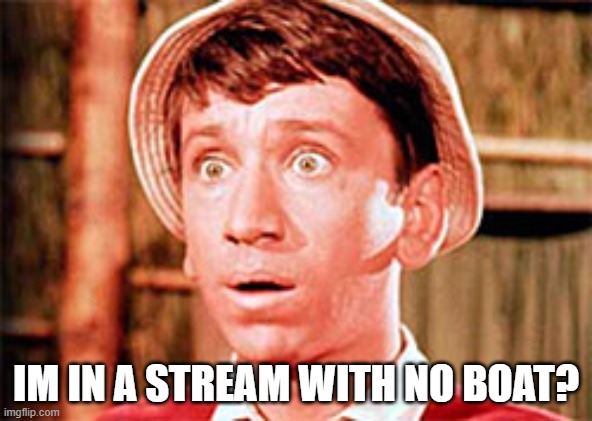 Gilligan |  IM IN A STREAM WITH NO BOAT? | image tagged in gilligan | made w/ Imgflip meme maker