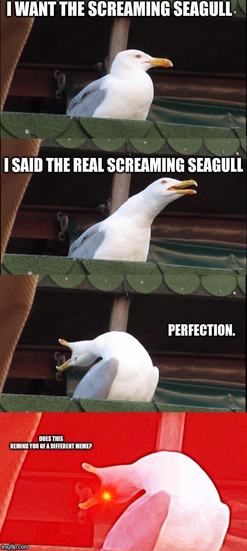 Screaming seagull | I WANT THE SCREAMING SEAGULL; I SAID THE REAL SCREAMING SEAGULL; PERFECTION. DOES THIS REMIND YOU OF A DIFFERENT MEME? | image tagged in screaming seagull | made w/ Imgflip meme maker