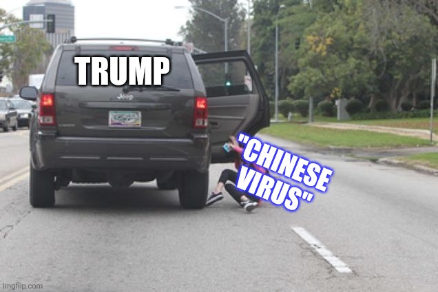 Kicked Out of Car | TRUMP "CHINESE 
VIRUS" | image tagged in kicked out of car | made w/ Imgflip meme maker