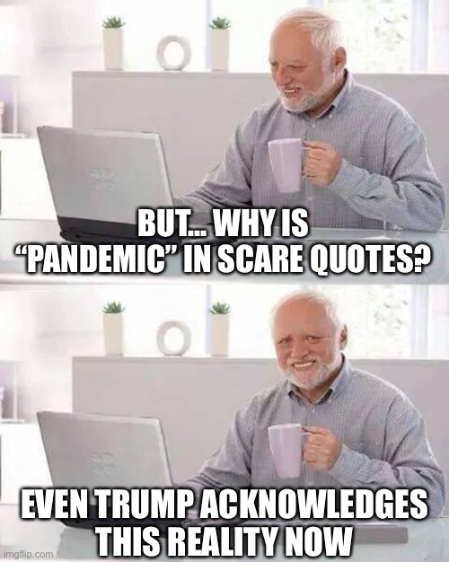 When they continue to regard Covid-19 as a conspiracy even after Trump declared a national emergency over it weeks ago. | BUT... WHY IS “PANDEMIC” IN SCARE QUOTES? EVEN TRUMP ACKNOWLEDGES THIS REALITY NOW | image tagged in covid-19,coronavirus,conspiracy theory,conspiracy theories,it's a conspiracy,hide the pain harold | made w/ Imgflip meme maker