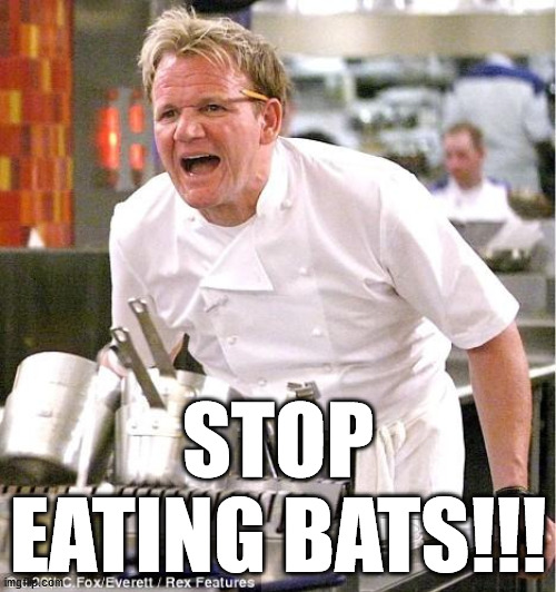 Chef Gordon Ramsay | STOP EATING BATS!!! | image tagged in memes,chef gordon ramsay,coronavirus | made w/ Imgflip meme maker