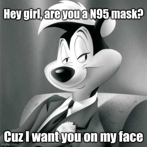 Hey N95 Mask | Hey girl, are you a N95 mask? Cuz I want you on my face | image tagged in pandemic,coronavirus,mask,pepe le pew | made w/ Imgflip meme maker
