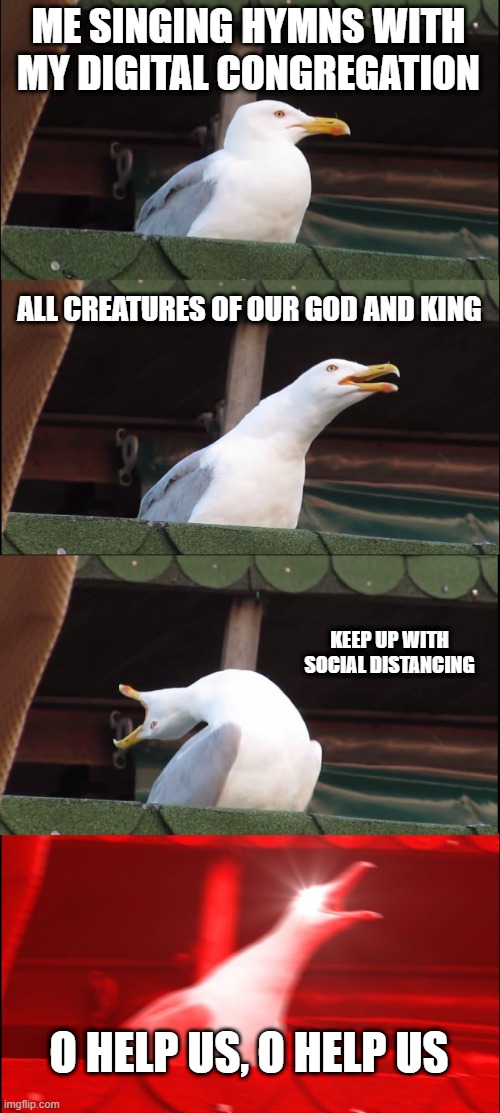 Inhaling Seagull Meme | ME SINGING HYMNS WITH MY DIGITAL CONGREGATION; ALL CREATURES OF OUR GOD AND KING; KEEP UP WITH SOCIAL DISTANCING; O HELP US, O HELP US | image tagged in memes,inhaling seagull | made w/ Imgflip meme maker