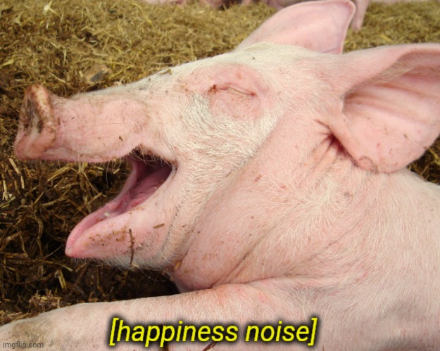 Happiness noise pig | image tagged in happiness noise pig | made w/ Imgflip meme maker
