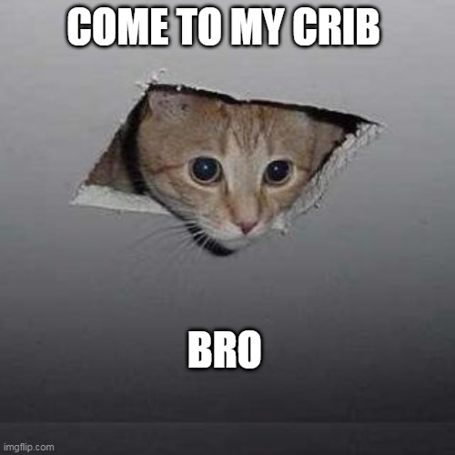 Ceiling Cat Meme | COME TO MY CRIB; BRO | image tagged in memes,ceiling cat | made w/ Imgflip meme maker