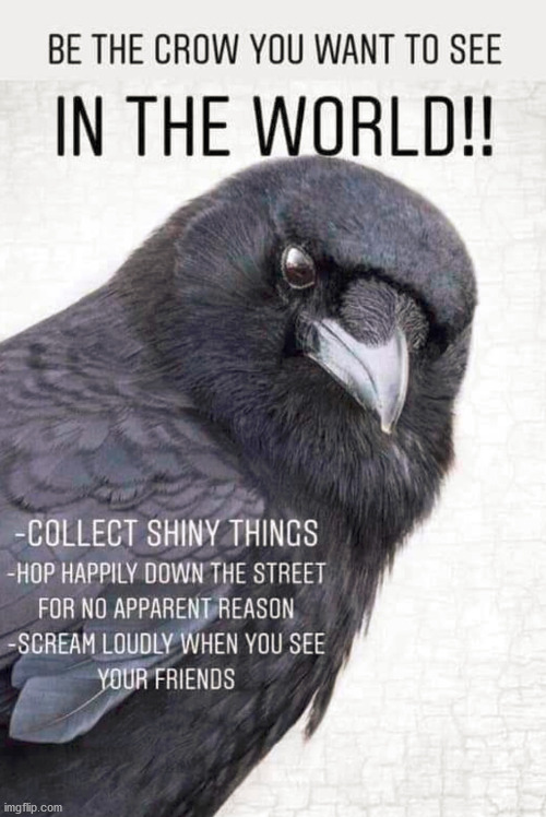 Be a crow | image tagged in repost | made w/ Imgflip meme maker