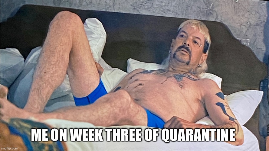 ME ON WEEK THREE OF QUARANTINE | image tagged in quarantine | made w/ Imgflip meme maker