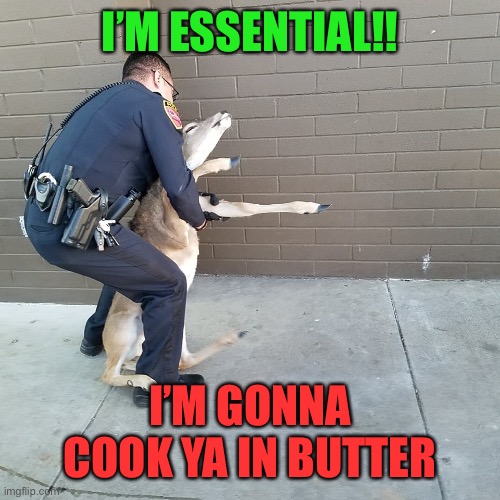 Arresting Yofficer | I’M ESSENTIAL!! I’M GONNA COOK YA IN BUTTER | image tagged in cop arrests deer,philosoraptor,funny,demotivationals,one does not simply,bad luck brian | made w/ Imgflip meme maker