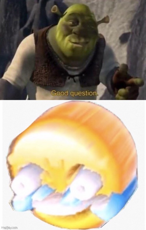 image tagged in shrek good question | made w/ Imgflip meme maker