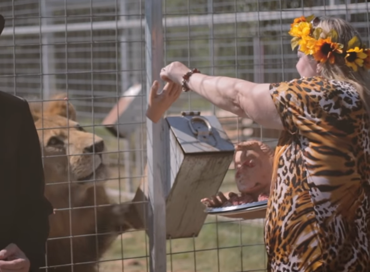 Carole Baskin feeding lion Blank Meme Template