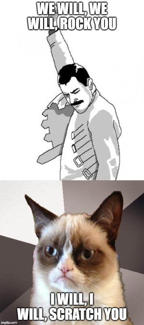 WE WILL, WE WILL, ROCK YOU; I WILL, I WILL, SCRATCH YOU | image tagged in freddie mercury,musically malicious grumpy cat,queen,mercury,freddy mercury,angry cat | made w/ Imgflip meme maker