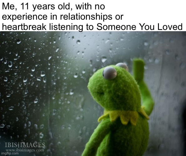 kermit window | Me, 11 years old, with no experience in relationships or heartbreak listening to Someone You Loved | image tagged in kermit window | made w/ Imgflip meme maker