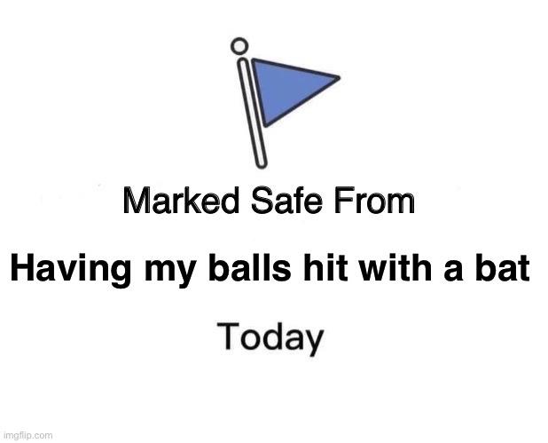 Marked Safe From Meme | Having my balls hit with a bat | image tagged in memes,marked safe from | made w/ Imgflip meme maker