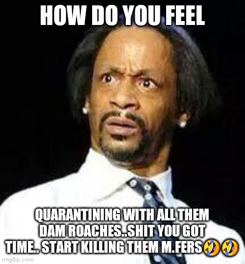 Jroc113 | HOW DO YOU FEEL; QUARANTINING WITH ALL THEM DAM ROACHES..SHIT YOU GOT TIME.. START KILLING THEM M.FERS🤣🤣 | image tagged in kat williams | made w/ Imgflip meme maker