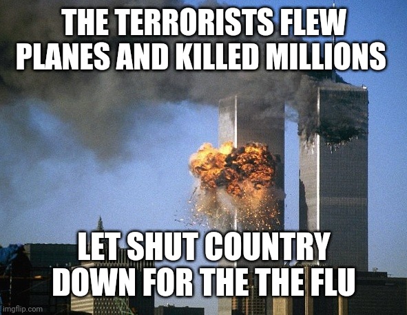 Twin Towers | THE TERRORISTS FLEW PLANES AND KILLED MILLIONS; LET SHUT COUNTRY DOWN FOR THE THE FLU | image tagged in twin towers | made w/ Imgflip meme maker