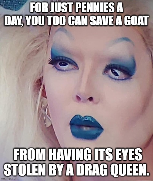 The Library is OPEN | FOR JUST PENNIES A DAY, YOU TOO CAN SAVE A GOAT; FROM HAVING ITS EYES STOLEN BY A DRAG QUEEN. | image tagged in rupaul's drag race,shade,drag race | made w/ Imgflip meme maker