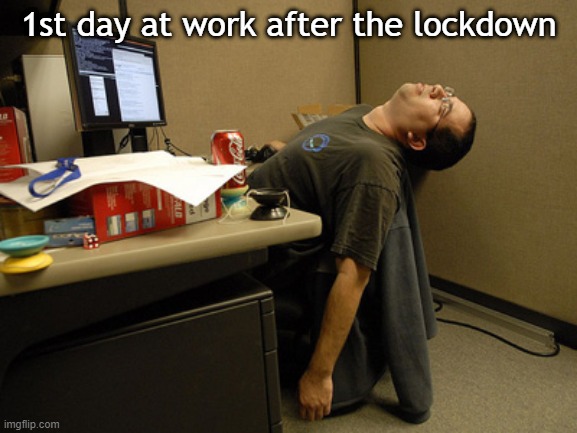 Sleeping Work | 1st day at work after the lockdown | image tagged in sleeping work | made w/ Imgflip meme maker