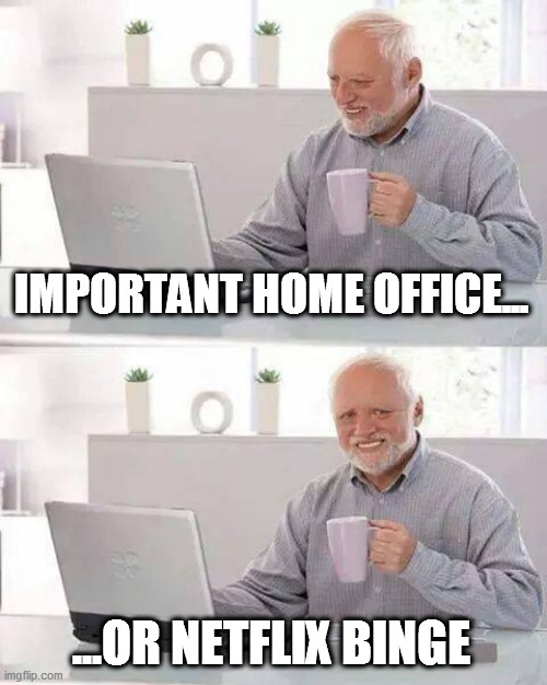 IMPORTANT HOME OFFICE... ...OR NETFLIX BINGE | image tagged in memes,hide the pain harold | made w/ Imgflip meme maker
